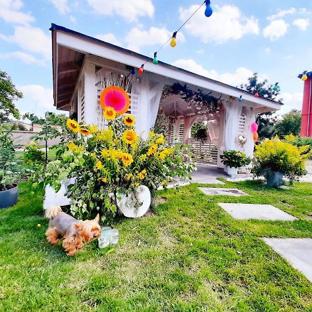 Pokoje Hotelowe Siedlczanka Siedlce Dış mekan fotoğraf